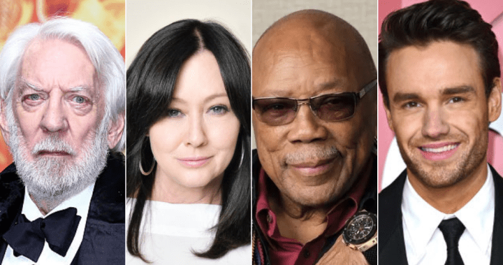 Remembering the celebrities we lost in 2024 – National