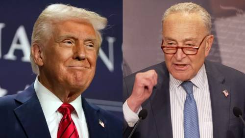 Schumer slams Trump for ‘illegal’ decision to freeze US grants, loans