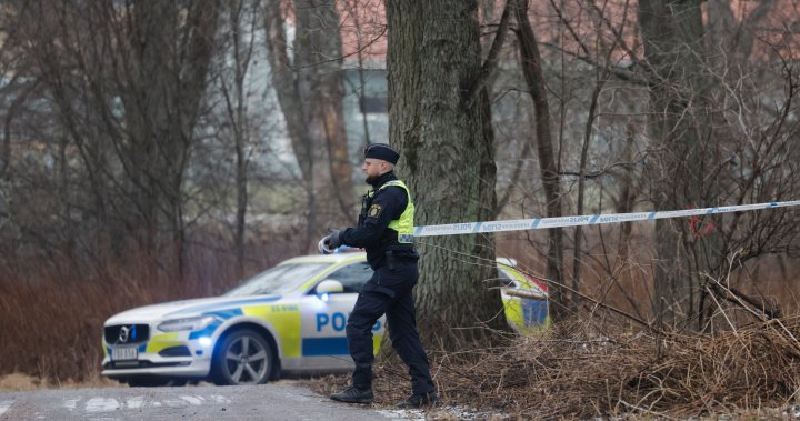 Sweden shooting leaves 10, including gunman, dead at education centre – National