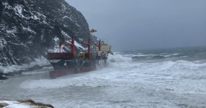 Cargo ship crew rescued after running aground on Newfoundland coast