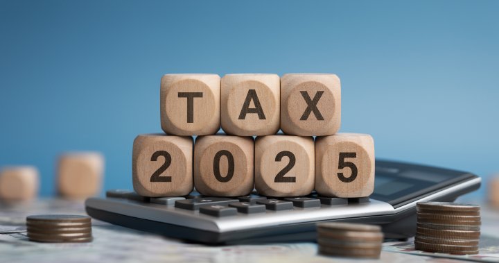 Tax season 2025: What Canadians need to know before filing – National