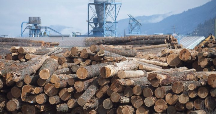 U.S. plan to nearly triple softwood lumber duties a ‘massive threat’: Eby