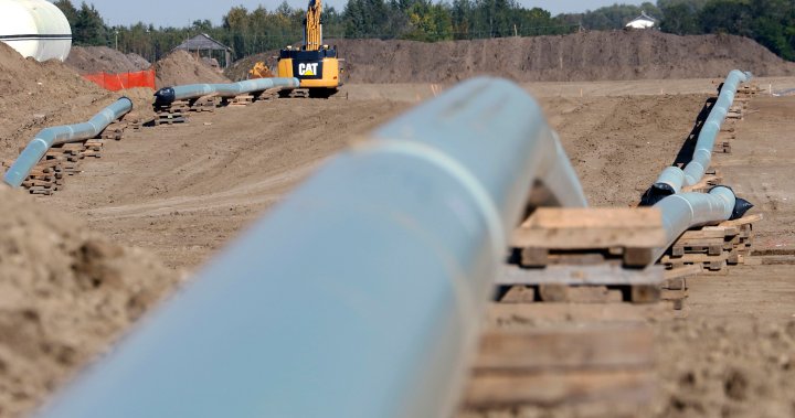 ‘Retaliatory pipelines’: Push to export crude away from U.S. intensifies amid tariffs