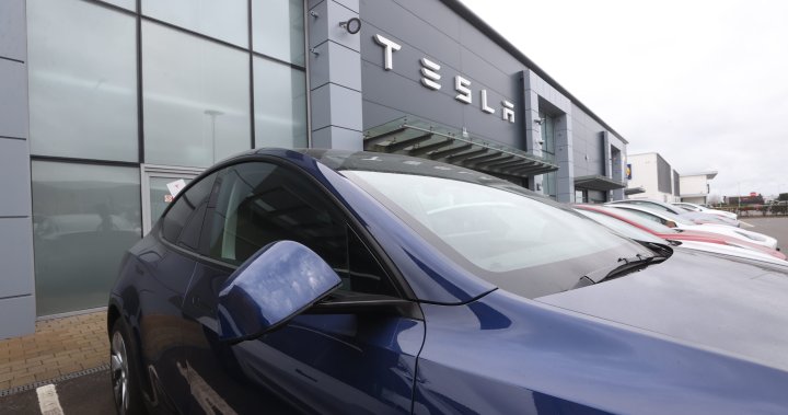 Up to 80 Teslas damaged at Ontario dealership as Musk decries ‘deranged’ acts